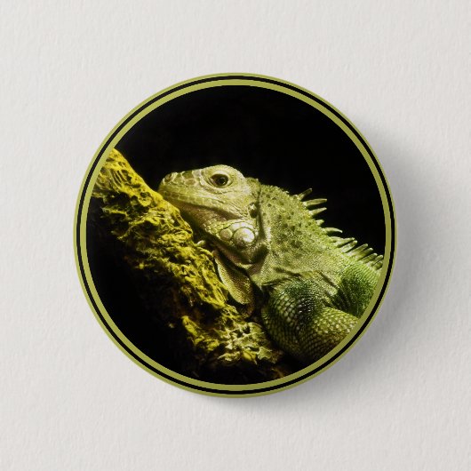 Noble Iguana Button (Voorkant)