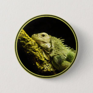 Noble Iguana Button