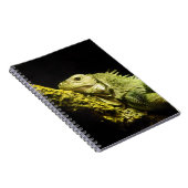 Noble Iguana-laptop Notitieboek (Rechterzijde)