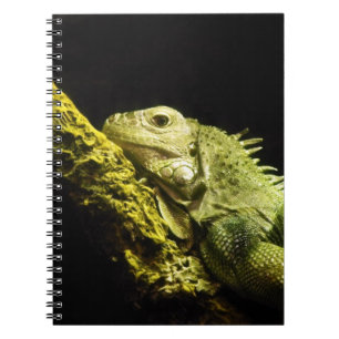 Noble Iguana-laptop Notitieboek