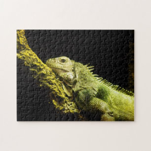 Noble Iguana Puzzle Legpuzzel
