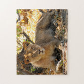 Noble Lions of Africa. Legpuzzel (Verticaal)