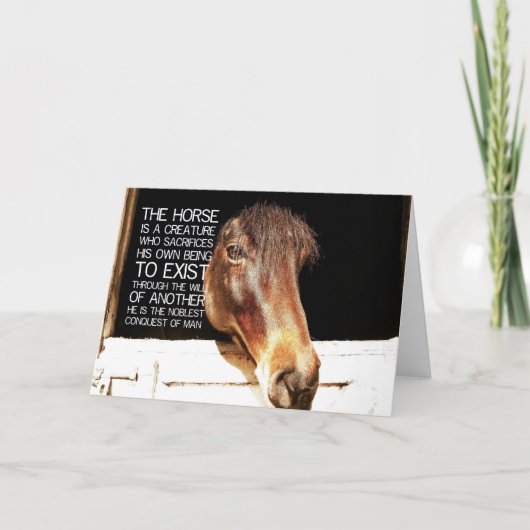 NOBLE STALLION Greeting Card Bedankkaart (Voorkant)