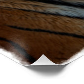 Noble Tiger schilderachtig portret Perfect Poster (Hoek)