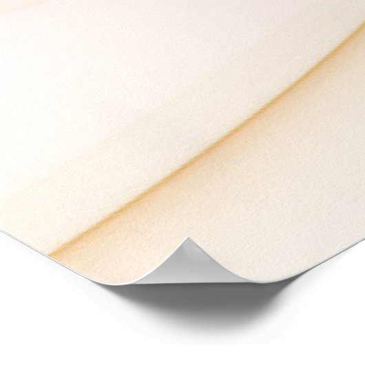 Nobly Copper and Gold Abstract Modern Fractal Art Poster (Hoek)