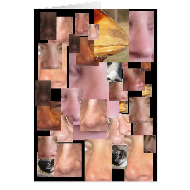 NOBODY NOSE (Voorkant)