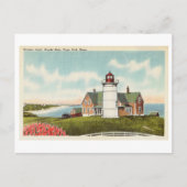 Nobska Light, Bossen Hole, Cape Cod, Massachusetts Briefkaart (Voorkant)