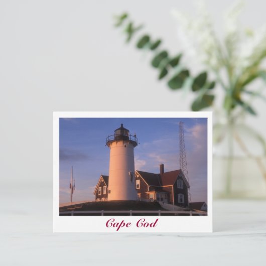 Nobska Lighthouse Cape Cod Bossen Hole Falmouth Briefkaart (Staand voorkant)