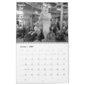Nobunny in 2026 kalender retrospectieve editie (Jan 2027)
