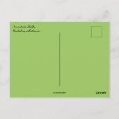 Noccalula Falls Gadsden Alabama Briefkaart (Achterkant)