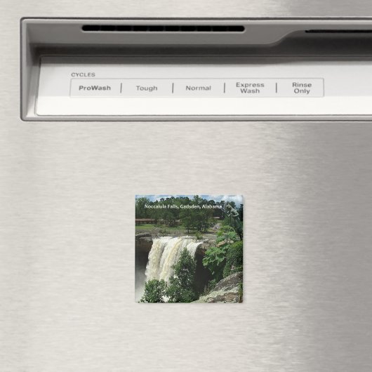 Noccalula Herfsten, Gadsden, Alabama Magneet (Insitu (Vaatwasser))