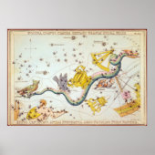 Noctua, Corvus, Crater, enz. Poster (Voorkant)