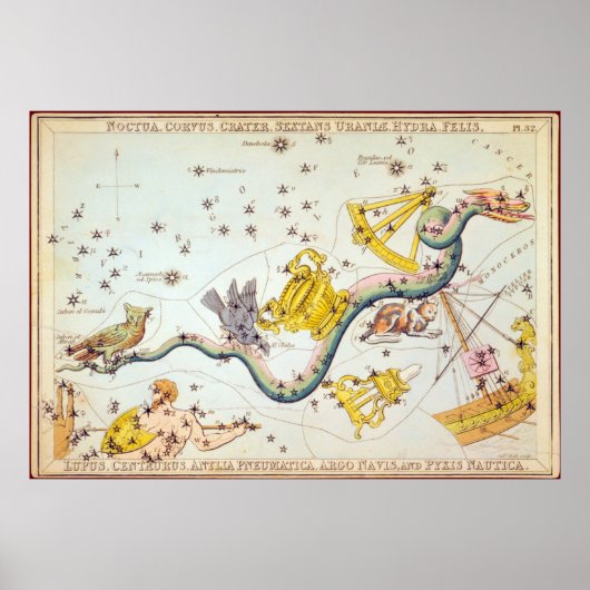 Noctua, Corvus, Crater, enz. Poster (Voorkant)