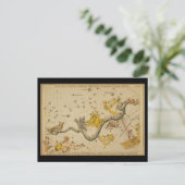 Noctua, Corvus, Hydra, Felis, Lupus, Centaurus, &c Briefkaart (Staand voorkant)