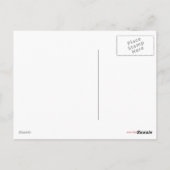 Noctua, Corvus, Hydra, Felis, Lupus, Centaurus, &c Briefkaart (Achterkant)