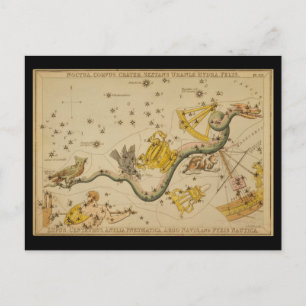 Noctua, Corvus, Hydra, Felis, Lupus, Centaurus, &c Briefkaart