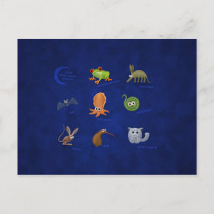 Nocturale dieren briefkaart