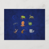 Nocturale dieren briefkaart (Voorkant)