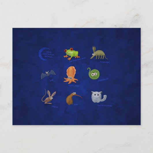 Nocturale dieren briefkaart (Voorkant)