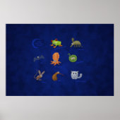 Nocturale dieren poster (Voorkant)