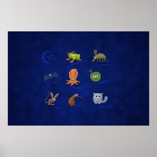 Nocturale dieren poster (Voorkant)
