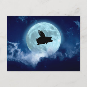 Nocturnal Flying Pig Briefkaart