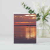 Nocturnal Paddle Boarder Retourneert Briefkaart (Staand voorkant)