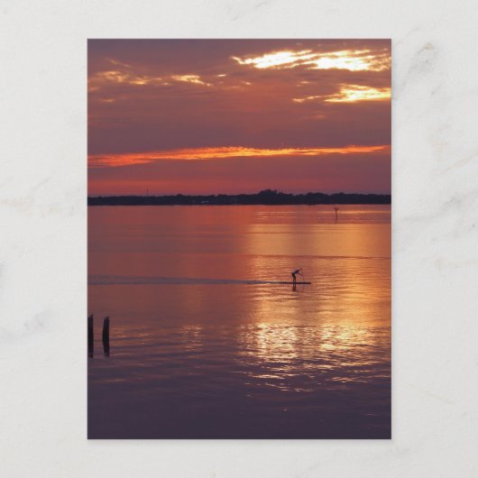Nocturnal Paddle Boarder Retourneert Briefkaart (Voorkant)