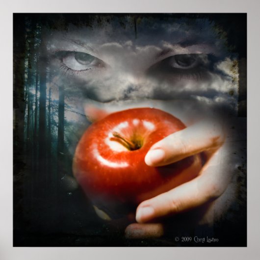 Nocturne Poster (Voorkant)