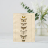 Nocturnes Briefkaart (Staand voorkant)