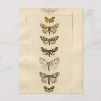 Nocturnes Briefkaart