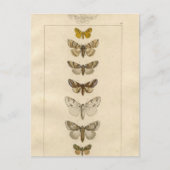 Nocturnes Briefkaart (Voorkant)