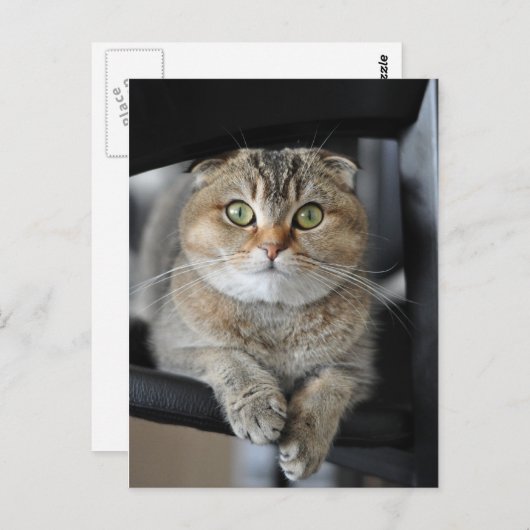 Noedels Briefkaart (Voorkant / Achterkant)