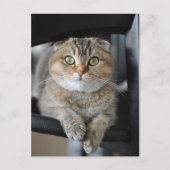 Noedels Briefkaart (Voorkant)