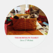Noel Cat Photo Holiday Ornament (Achterkant)