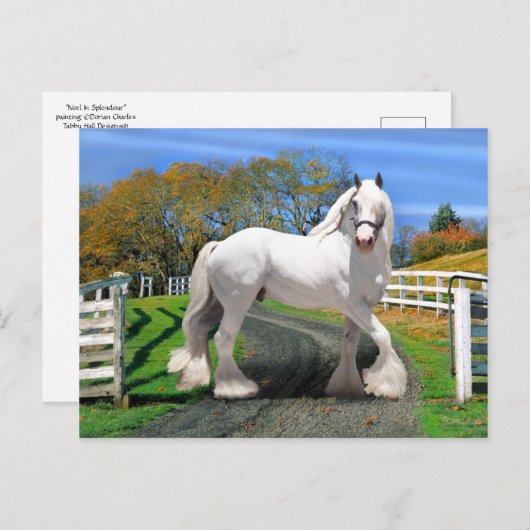 "Noel in Splendor" Briefkaart (Voorkant / Achterkant)