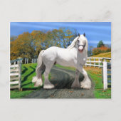 "Noel in Splendor" Briefkaart (Voorkant)