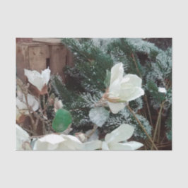 noel mousselinepapier tissuepapier