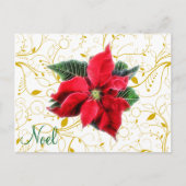 Noel Poinsettia Feestdagenkaart (Voorkant)