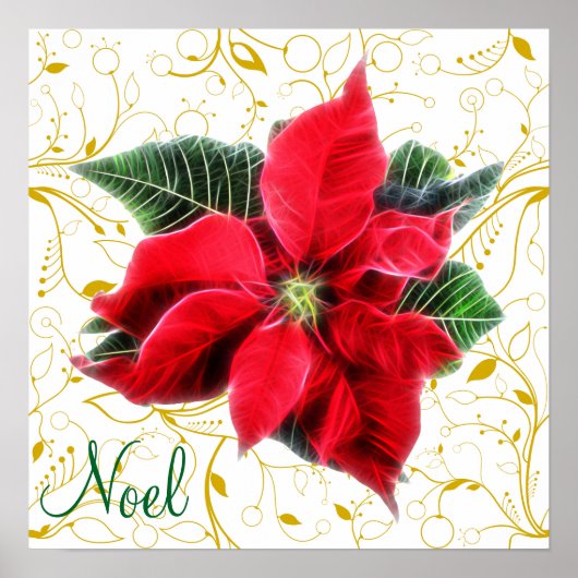 Noel Poinsettia Poster (Voorkant)