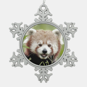 Noel red panda, panda roux. tin sneeuwvlok ornament
