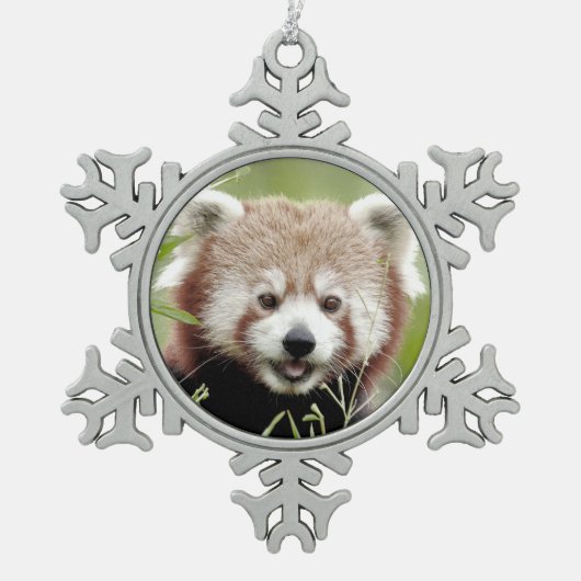 Noel red panda, panda roux. tin sneeuwvlok ornament (Voorkant)