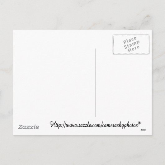 noel snowmen card feestdagenkaart (Achterkant)