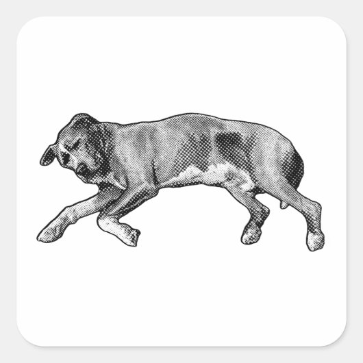 Noel Stretch, Lang en Licht Vierkante Sticker (Voorkant)
