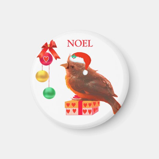 Noel vogel magneet (Voorkant)