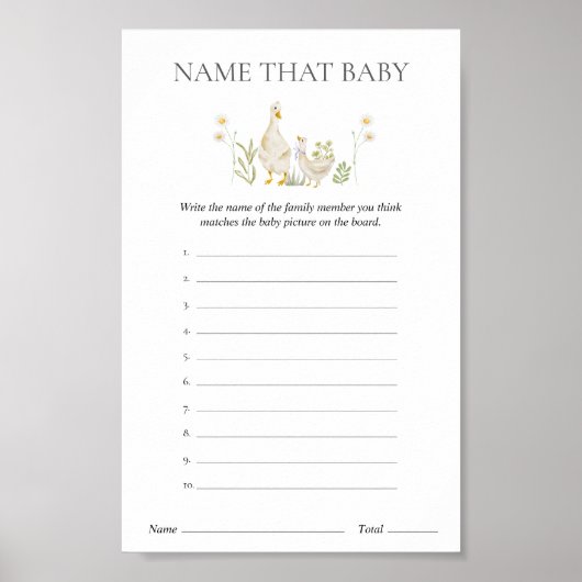 Noem die Baby Gekke Goose Baby shower spel Poster (Voorkant)