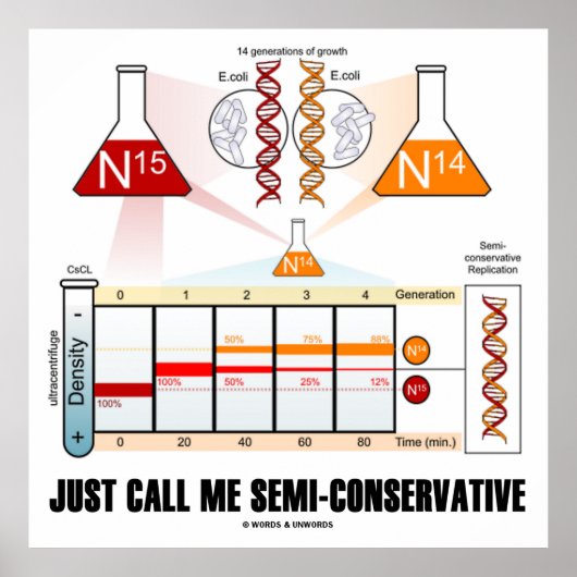 Noem me enkel semi-Conservatief (de Replicatie van Poster (Voorkant)