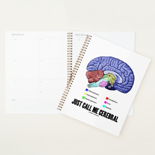 Noem me gewoon Cerebral Brain Anatomie Humor Planner (Display)