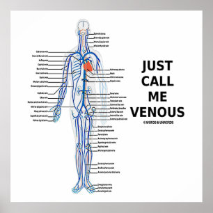Noem me maar Venous Veins Venous System Poster