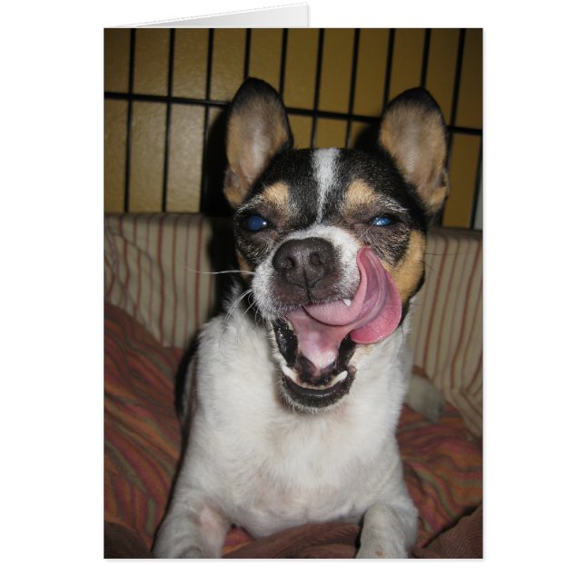 Nog beter? (Voorkant)